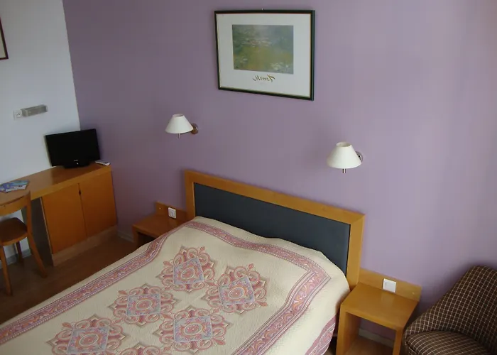 Hotel Au Petit Languedoc Lourdes