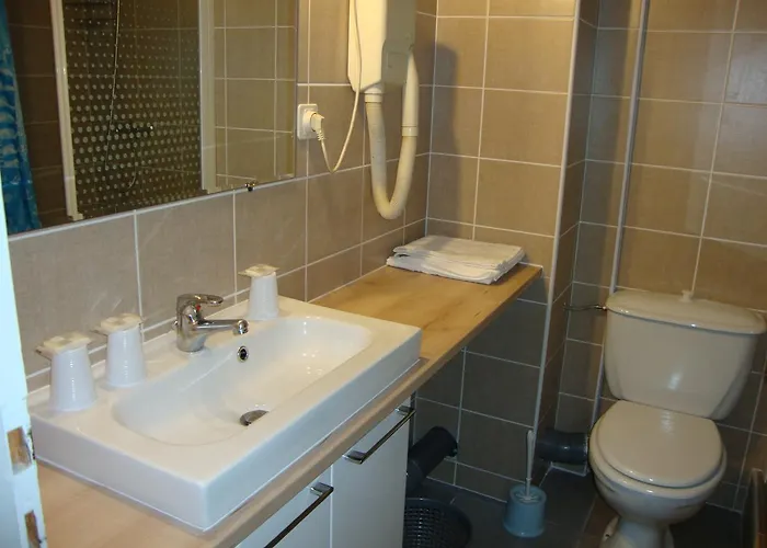 Hotel Au Petit Languedoc 2* Lourdes