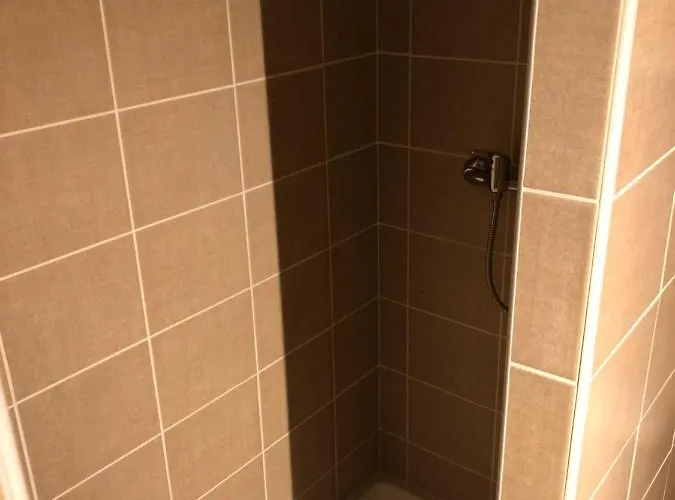 Hotel Au Petit Languedoc Lourdes