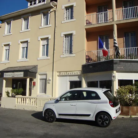 Hotel Au Petit Languedoc 2* Лурд